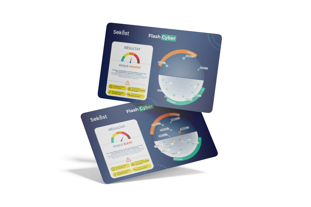 Un exemple de Flash Cyber
